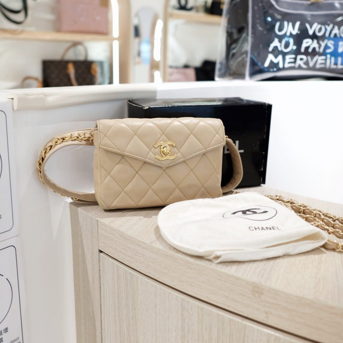 Chanel Quilted Sheepskin Handbag 5 - Product Image 2