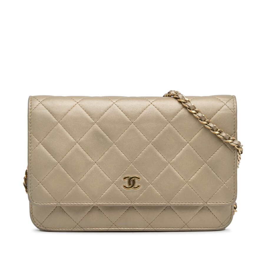 Chanel Classic Wallet on Chain Crossbody | Studio Nafay