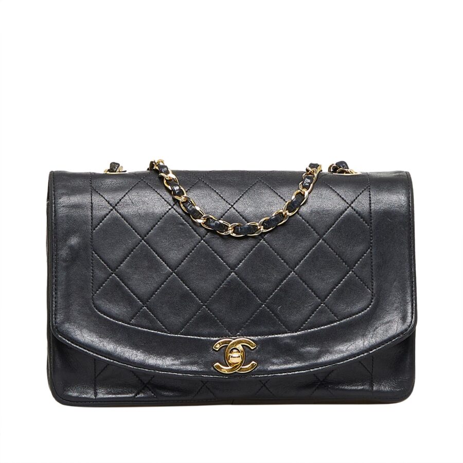 Chanel Diana Flap Crossbody | Studio Nafay