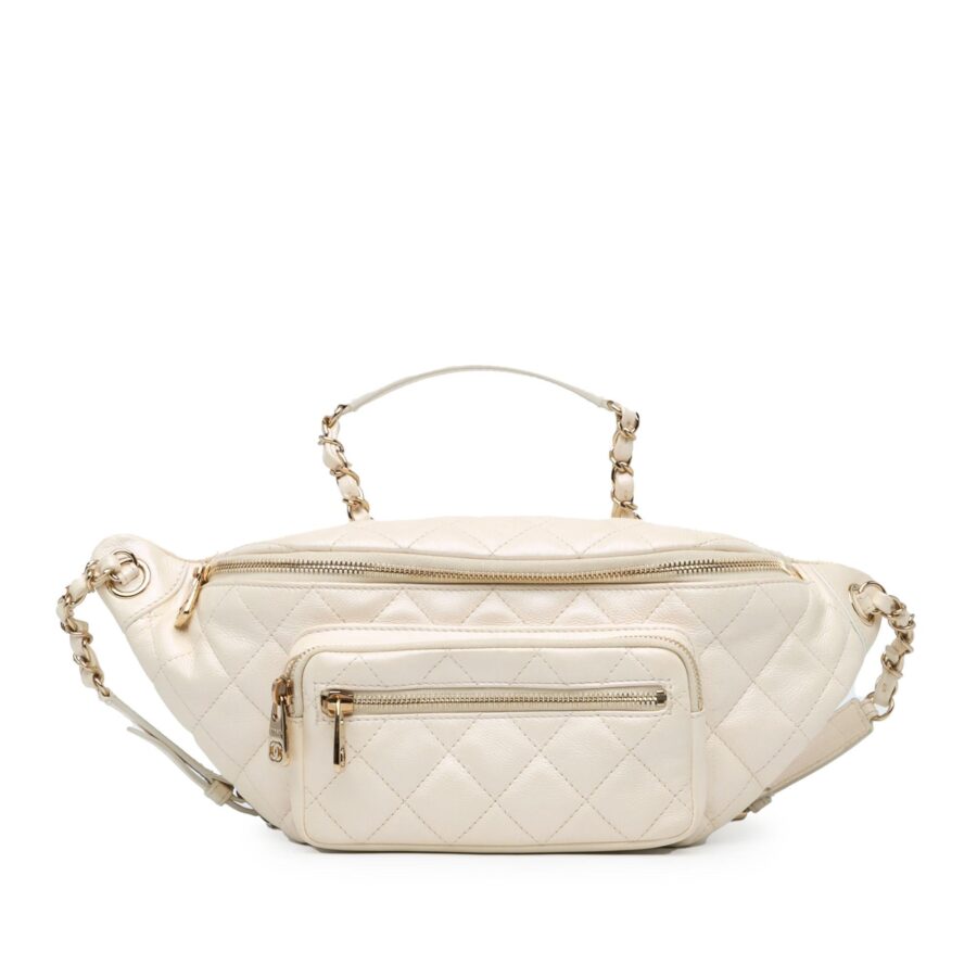 Chanel Iridescent Calfskin All About Waist Belt Bag | Studio Nafay