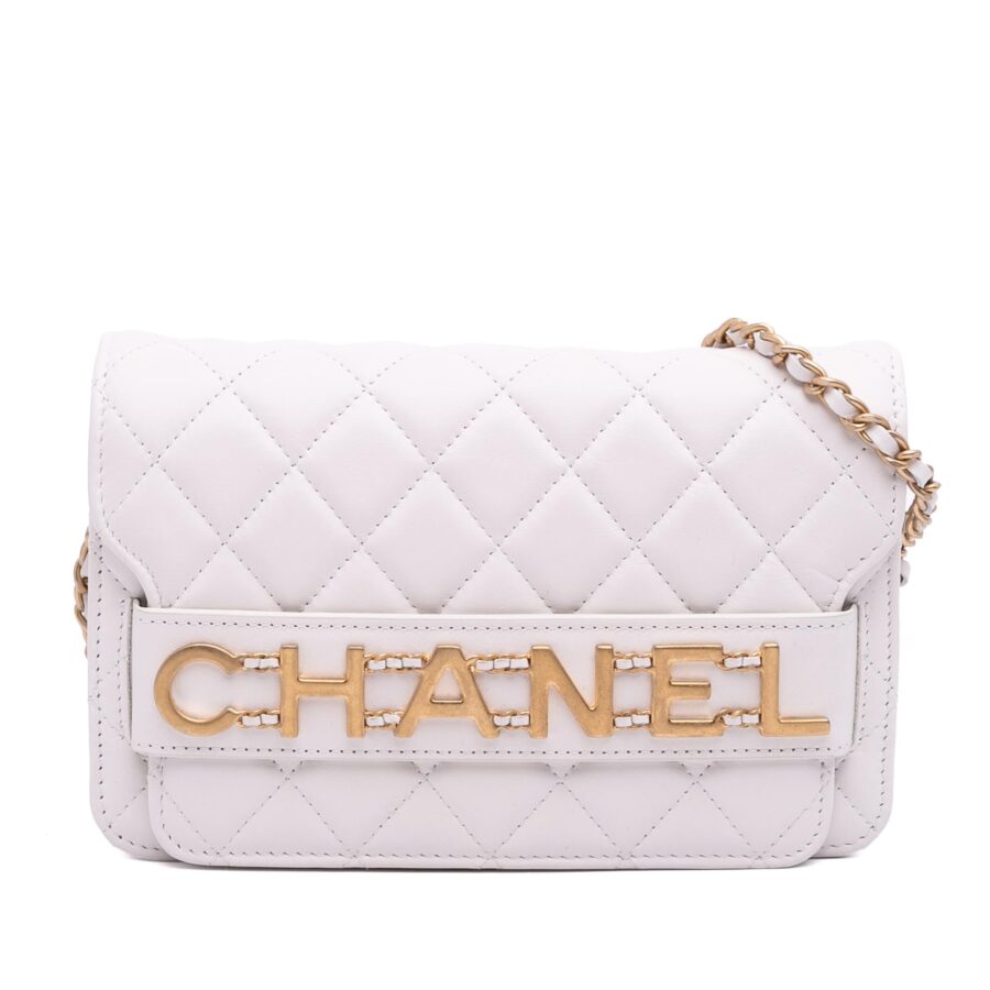 Chanel Medium Quilted Calfskin Enchained Flap | Studio Nafay