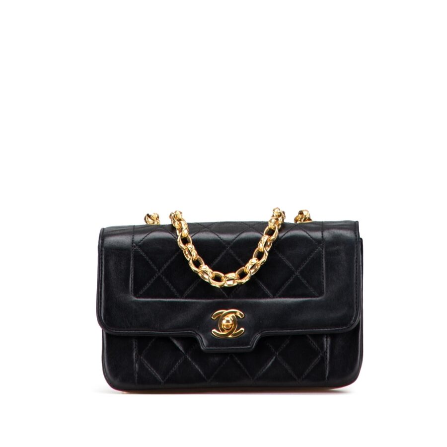 Chanel Mini Quilted Lambskin Single Flap | Studio Nafay