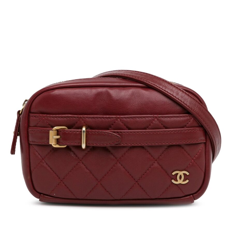 Chanel Small Quilted Lambskin Buckle Camera Bag | Studio Nafay