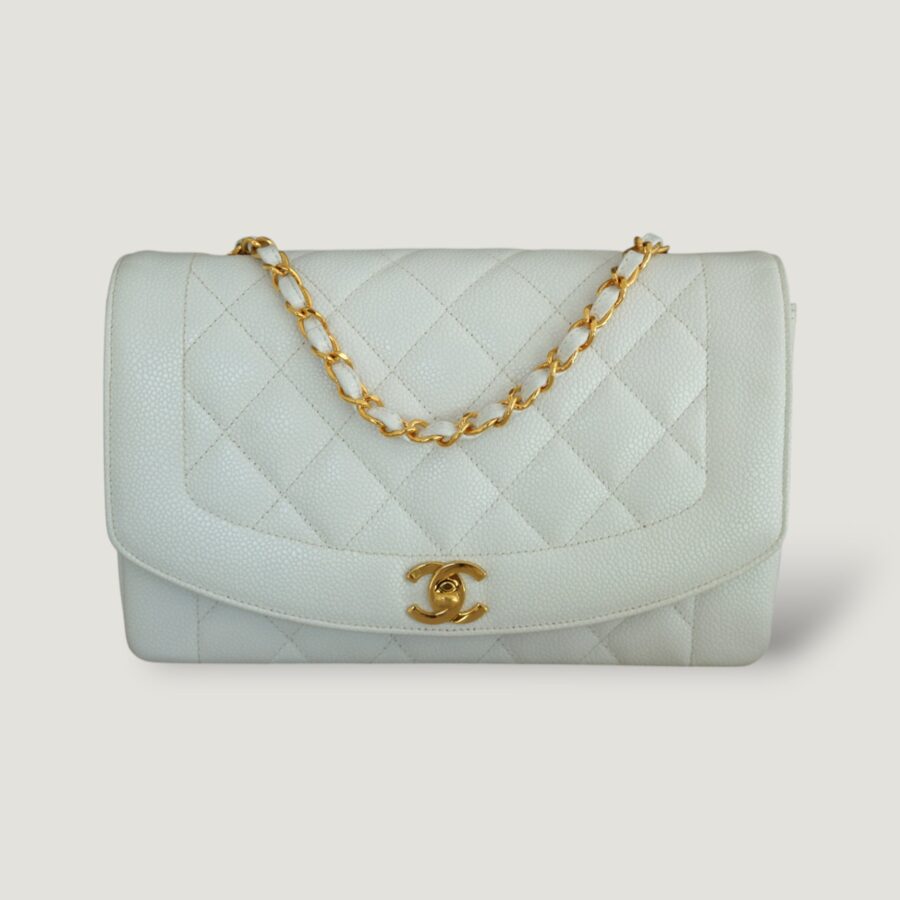Chanel Diana Medium Handbag Luxury Designer Handbag 10 | Studio Nafay