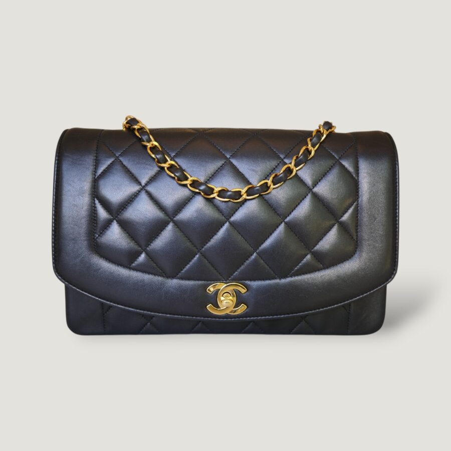 Chanel Diana Medium Handbag Luxury Designer Handbag 11 | Studio Nafay