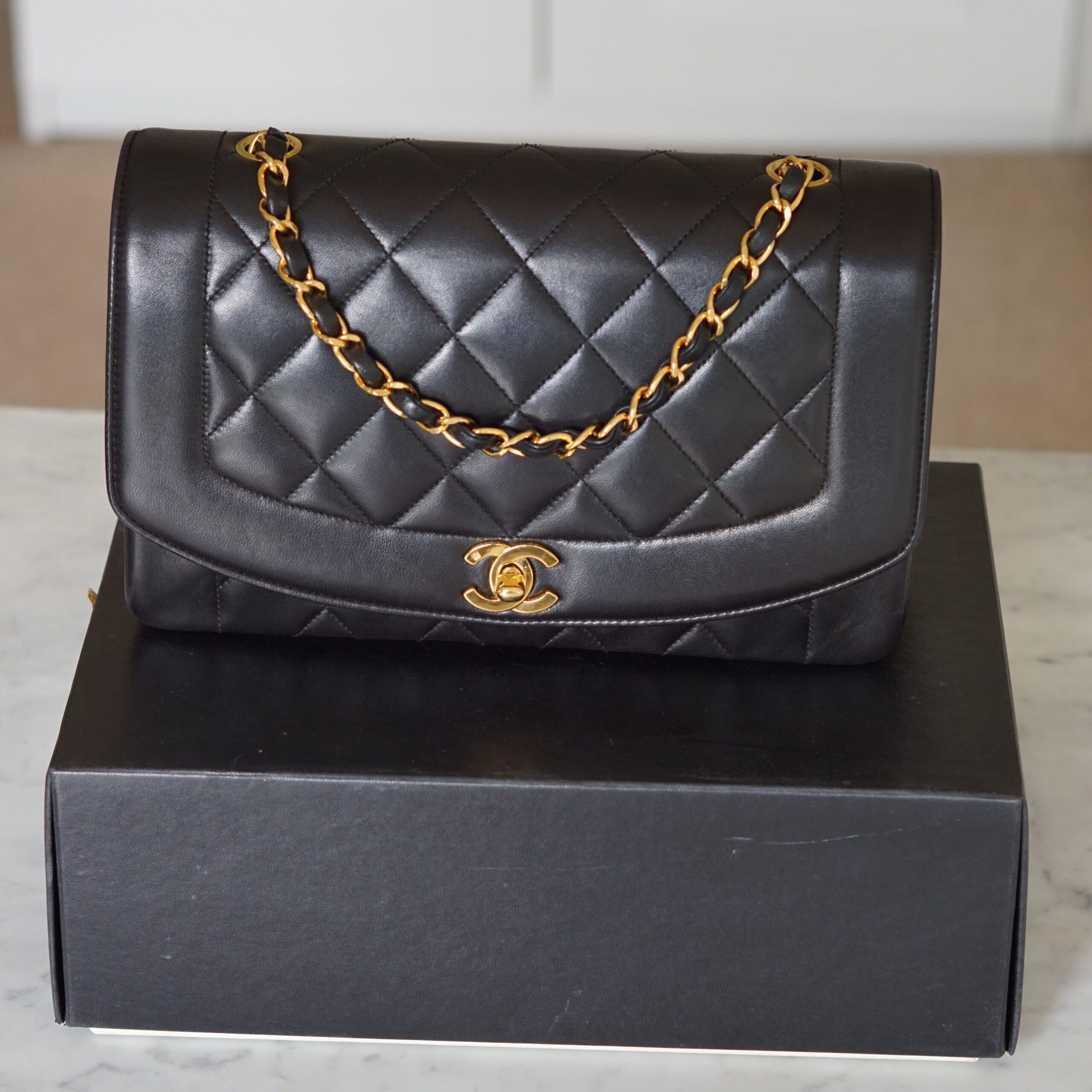 Chanel Diana Medium Handbag Luxury Designer Handbag 11