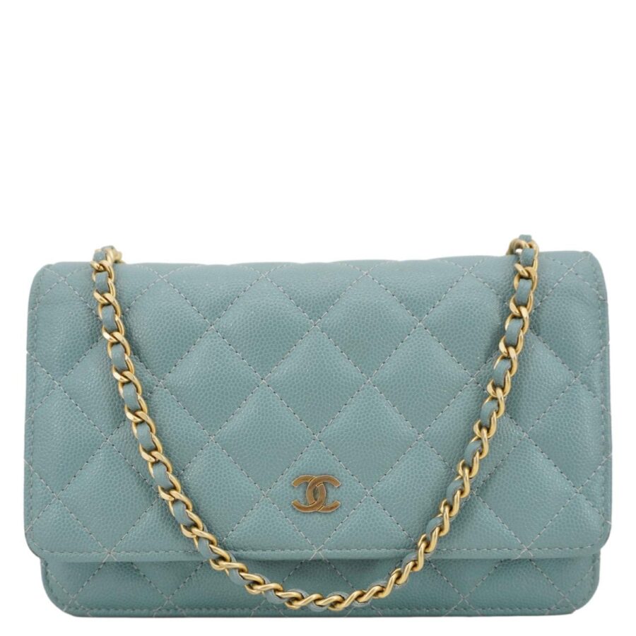 Chanel Wallet On Chain Leather Green Crossbody Bag | Studio Nafay