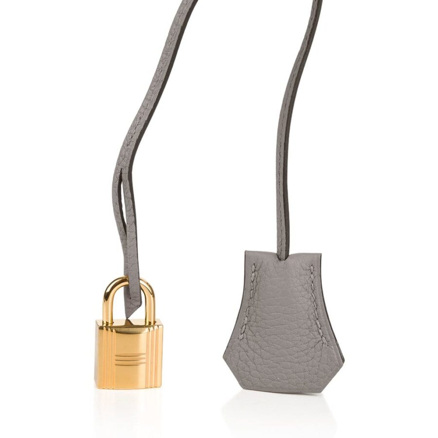 Hermes Birkin 35 Bag Gris Asphalte Togo Gold Hardware | Studio Nafay