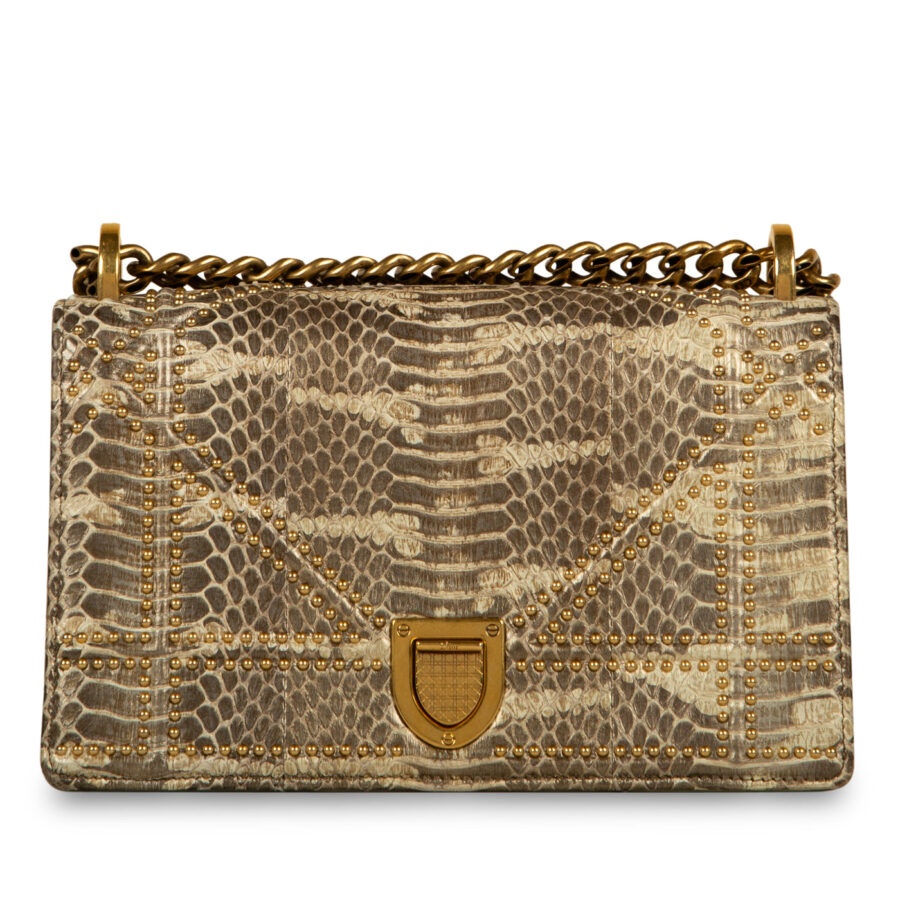 Small Studded Diorama - Python | Studio Nafay
