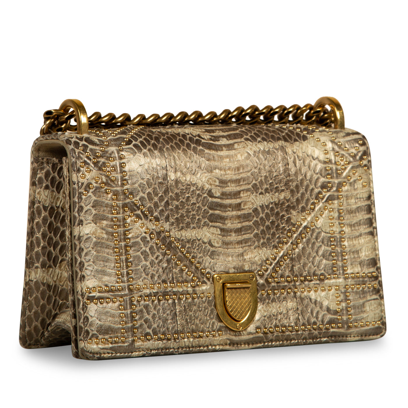 Small Studded Diorama - Python - Product Image 2