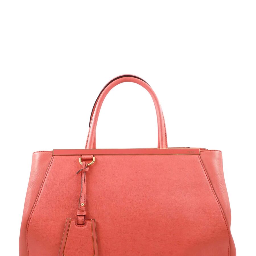 Regular 2Jours Bag Coral | Studio Nafay
