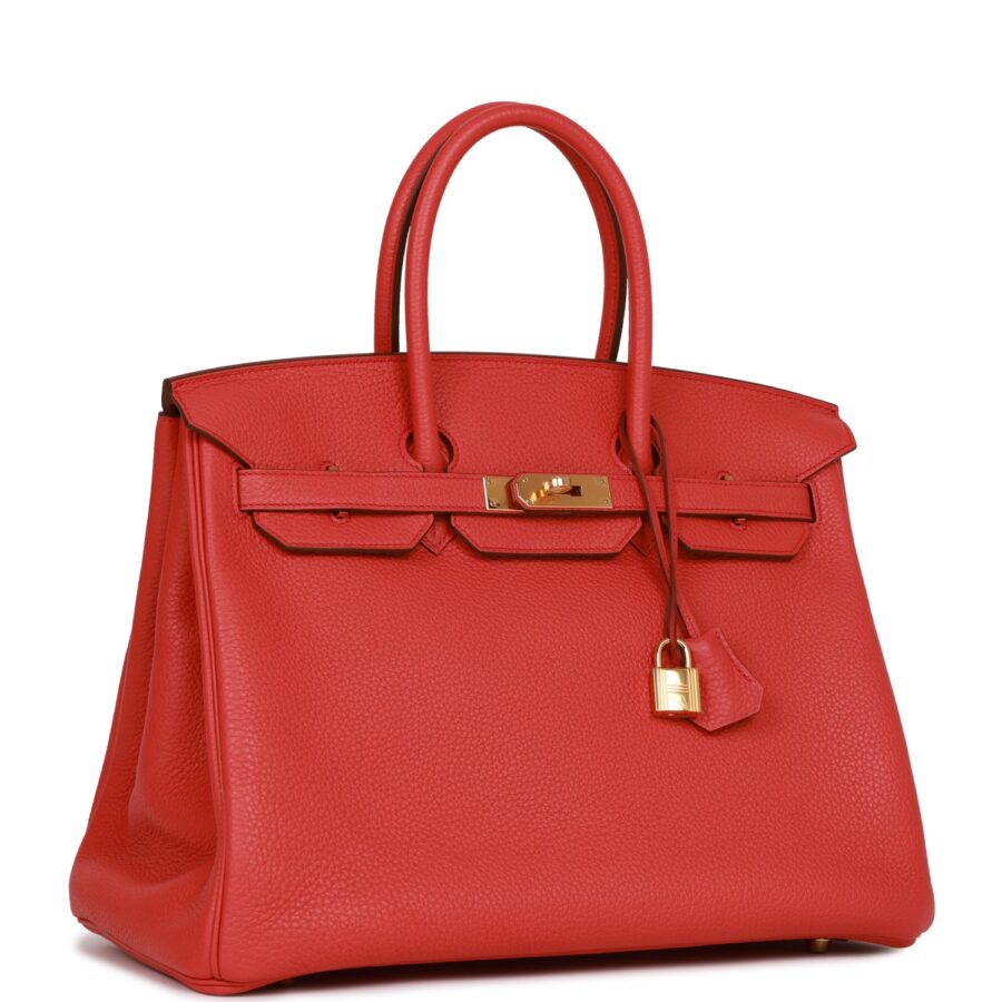 Hermes Birkin 35 Bougainvillea Clemence Gold Hardware | Studio Nafay