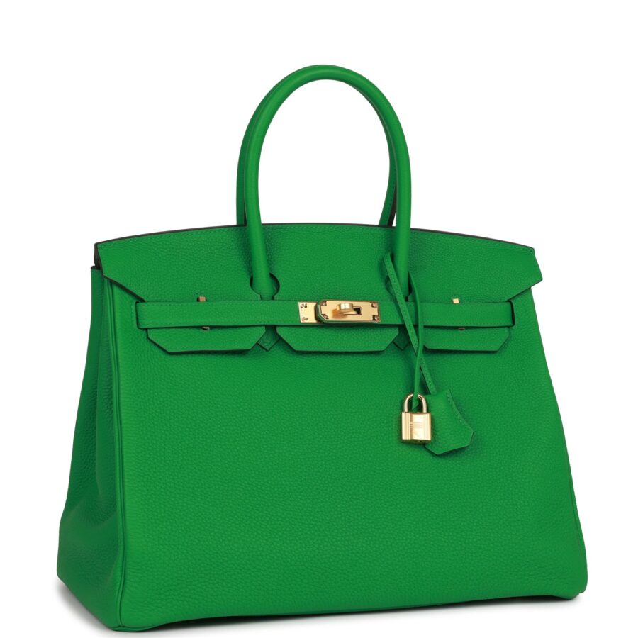 Hermes Birkin 35 Bamboo Togo Gold Hardware | Studio Nafay
