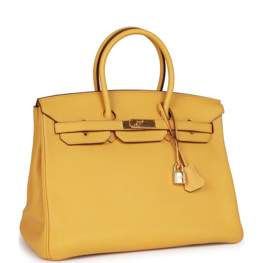 Hermes Birkin 35 Soleil Togo Gold Hardware | Studio Nafay