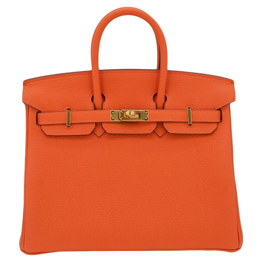 Hermes25cm Birkin Orange Togo Leather Gold Hardware | Studio Nafay