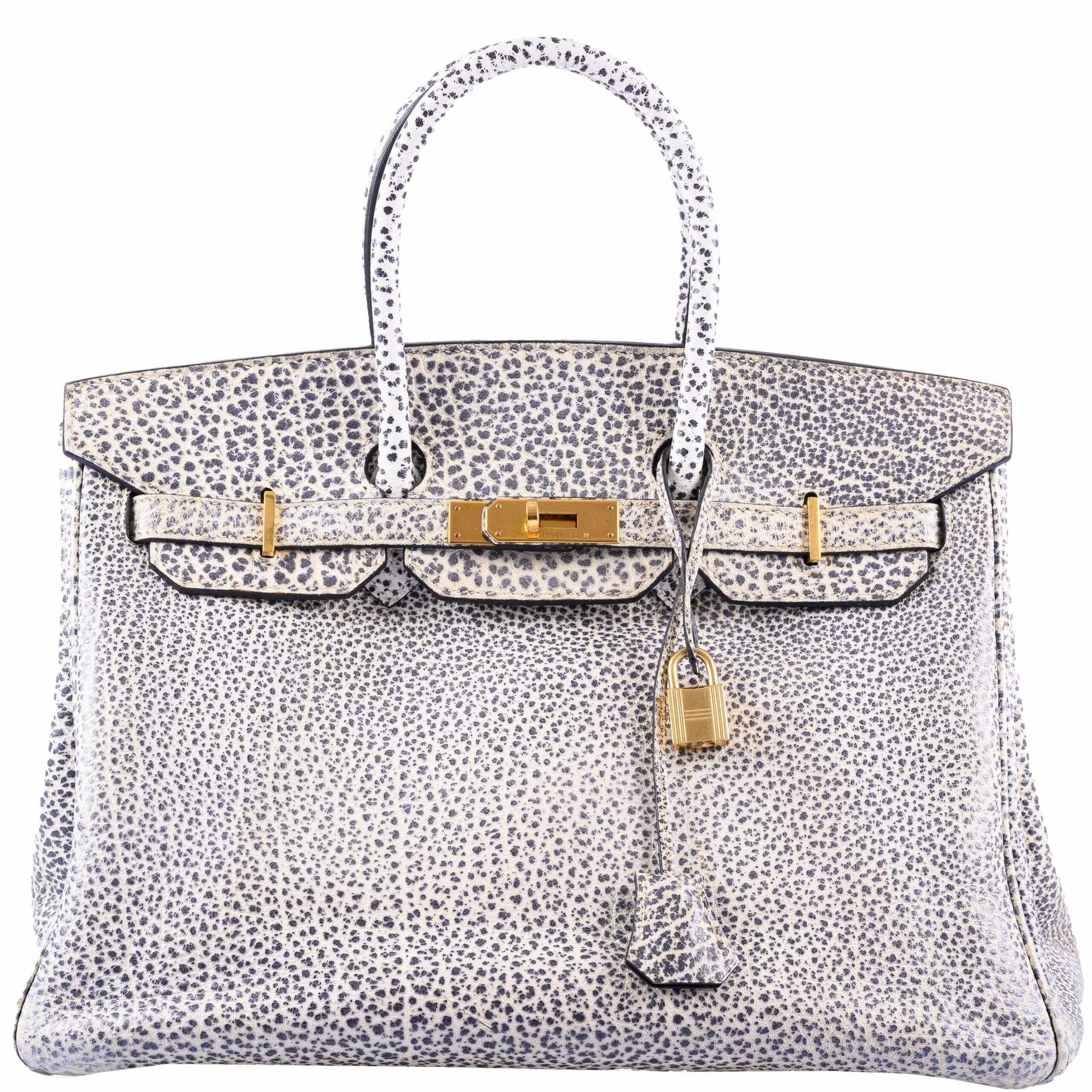 Luxury Women’s Handbag HermesAlma