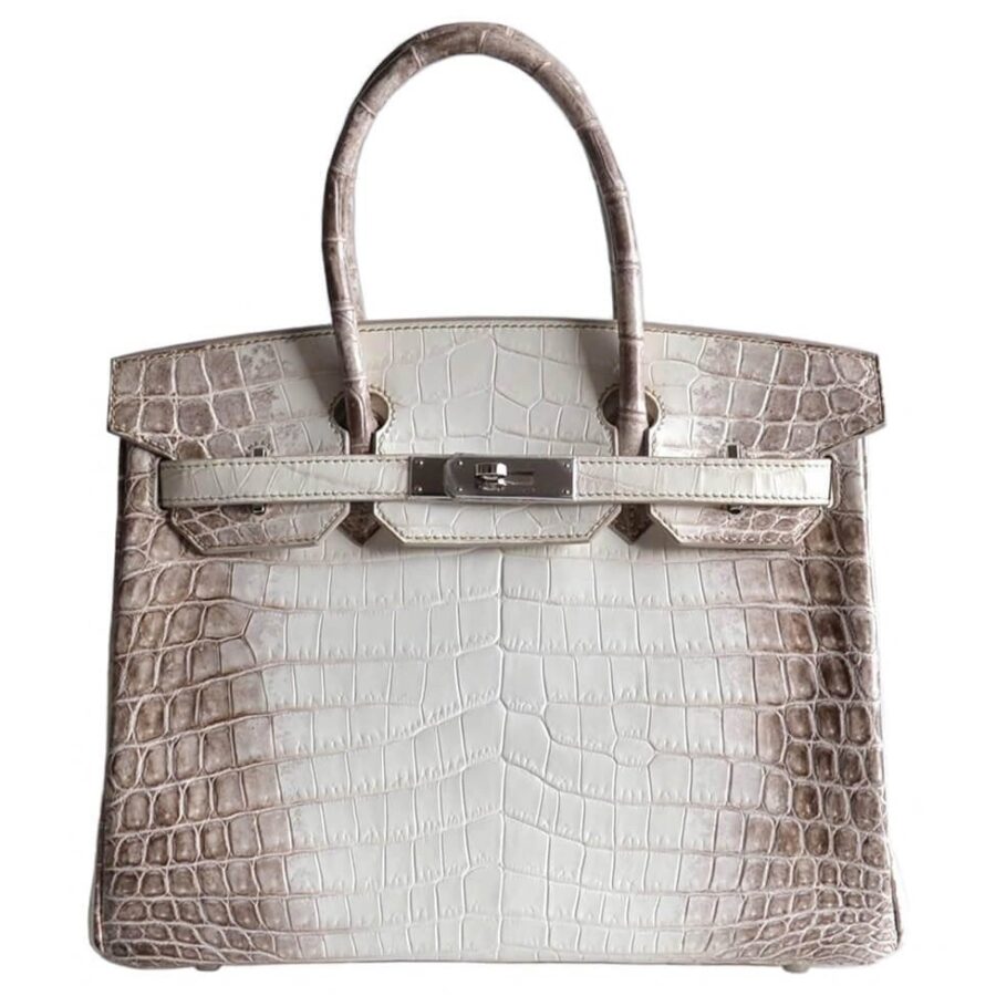 HermesBirkin 30 Himalayan Niloticus Crocodile Bag | Studio Nafay