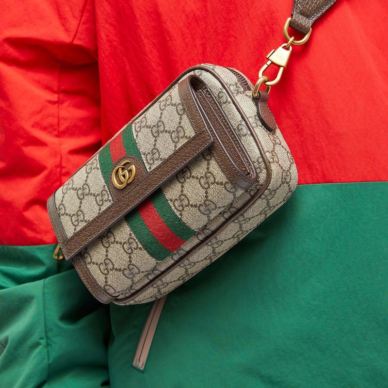 Gucci Ophidia Crossbody Bag For women(Brown) | Studio Nafay