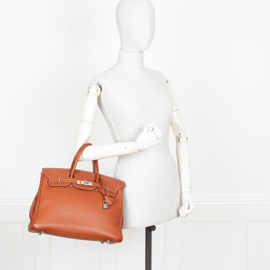 HERMÈS Birkin 35 Buffalo Skipper Etrusque | Studio Nafay