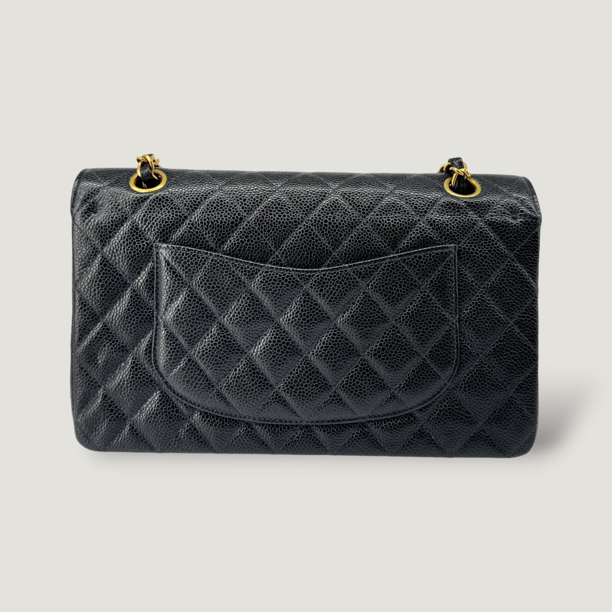 Chanel Medium Classic Handbag Luxury Designer Handbag 25