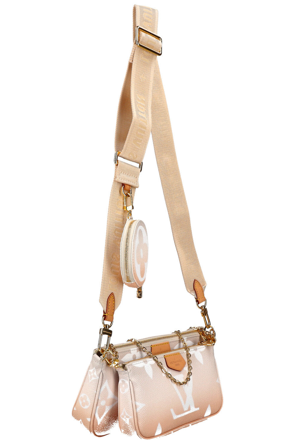 LOUIS VUITTON Multi Pochette Accessoires Giant MNG