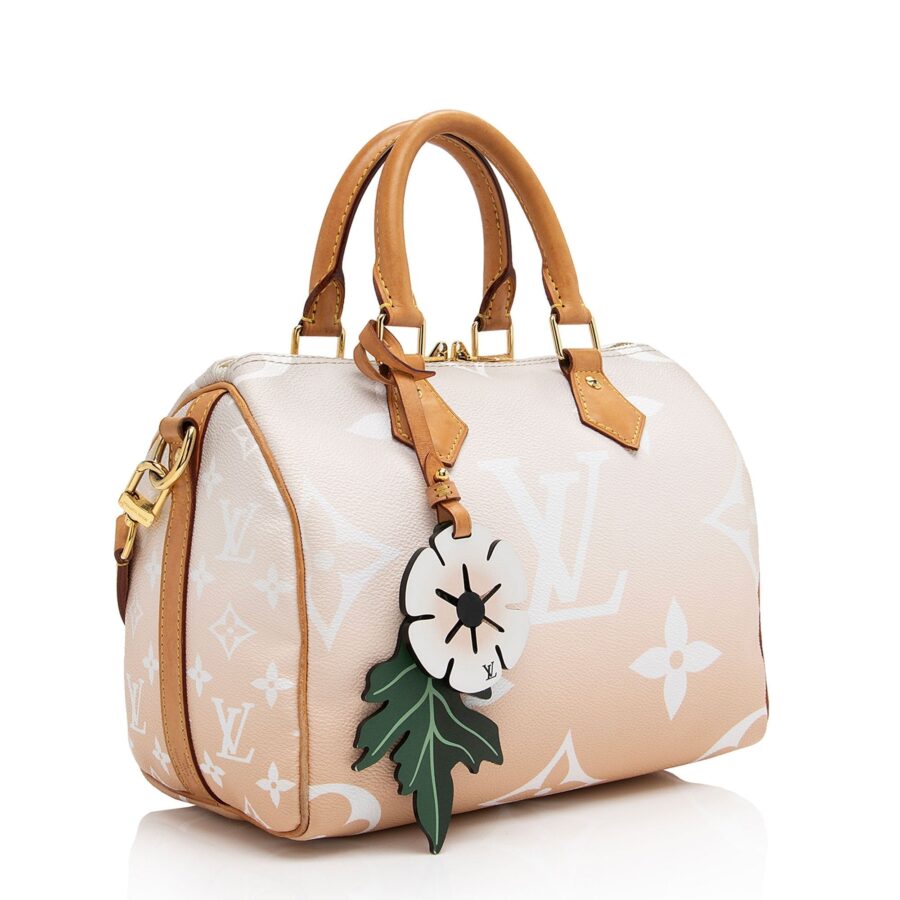 Louis Vuitton Giant Monogram Canvas By The Pool Speedy Bandouliere 25 Satchel | Studio Nafay