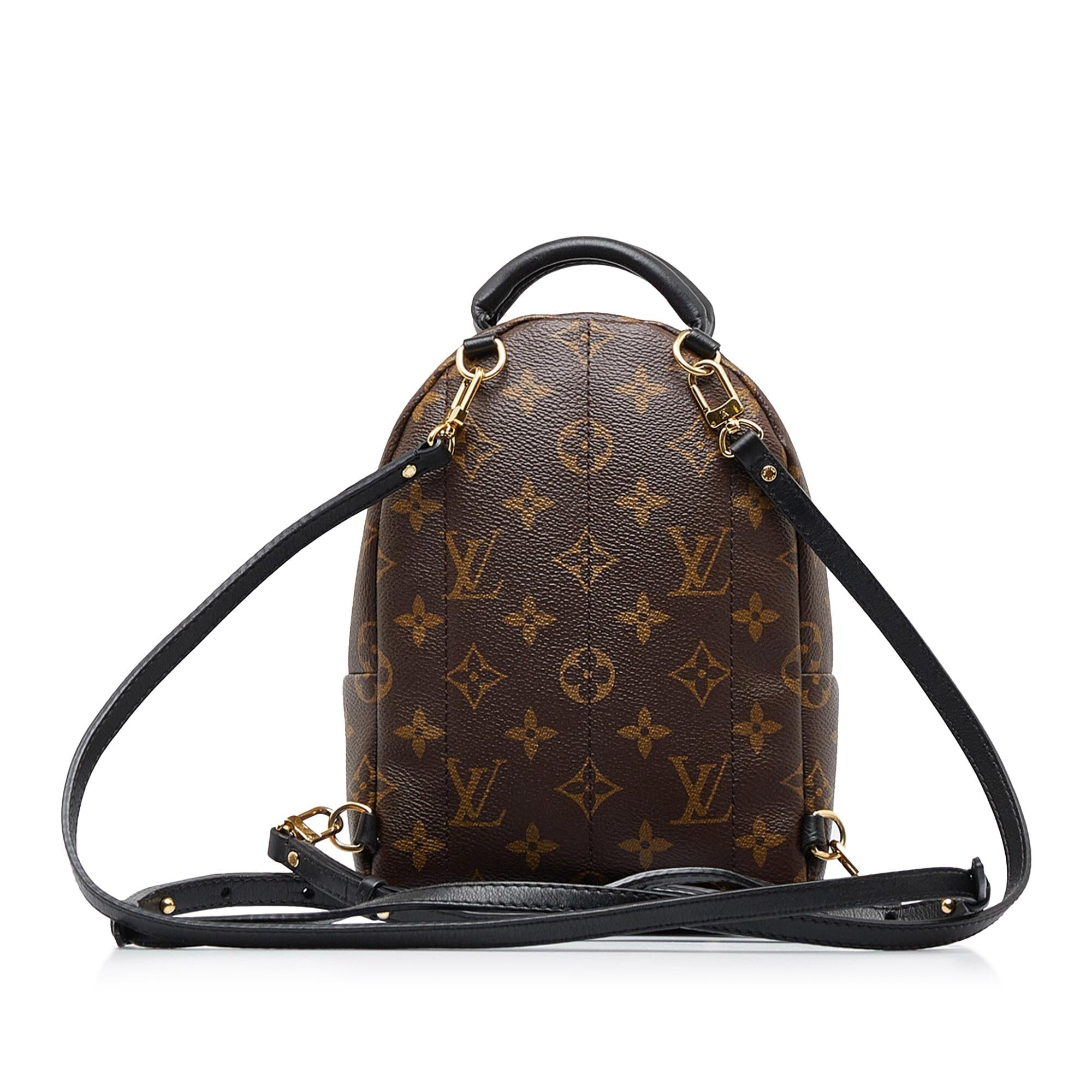 Louis Vuitton Monogram Palm Springs Mini