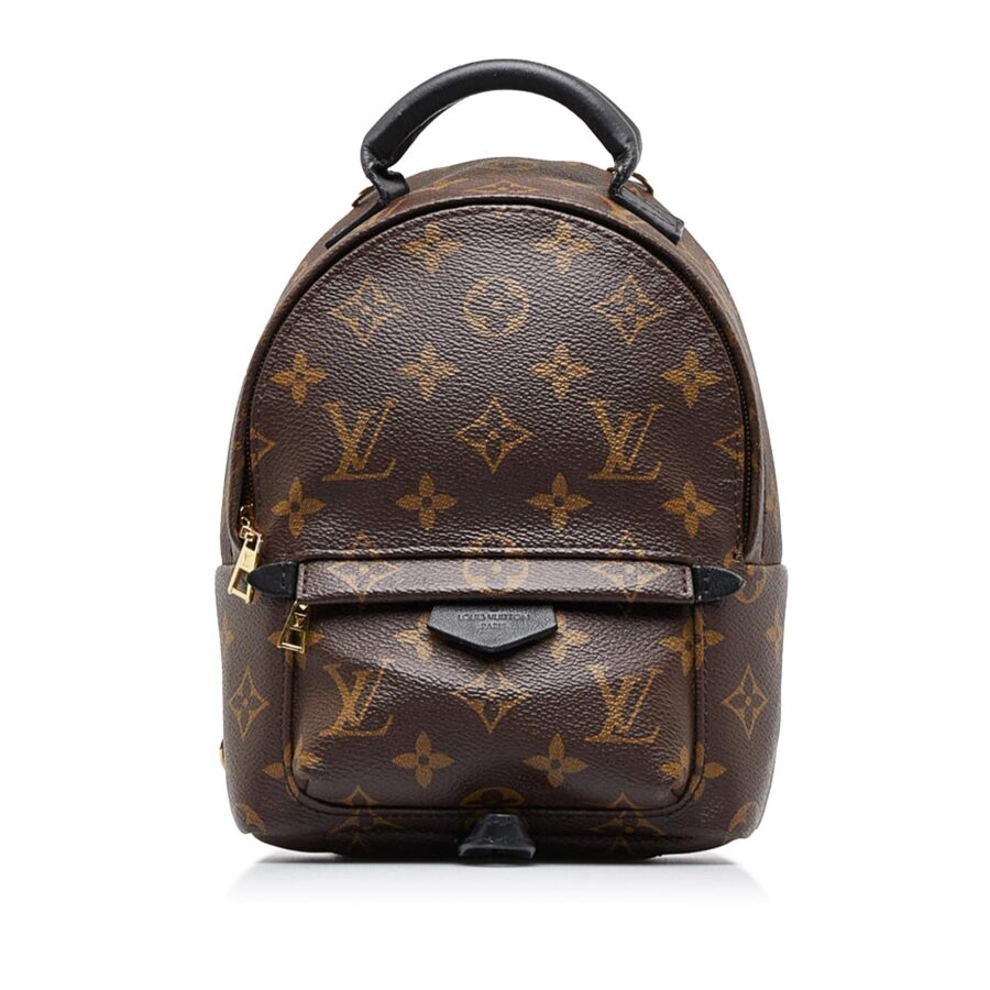 Louis Vuitton Monogram Palm Springs Mini | Studio Nafay