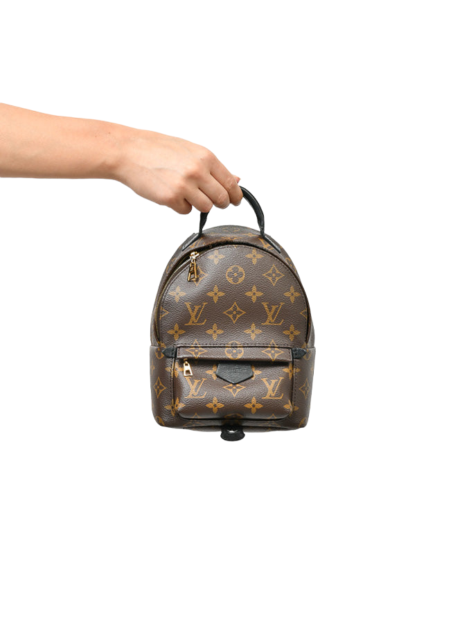 Louis Vuitton Monogram Palm Spring Mini Backpack | Studio Nafay