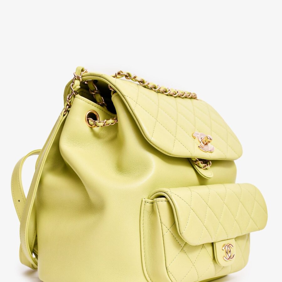 Chanel™ Mint Green Lambskin Small GHW Duma Backpack | Studio Nafay