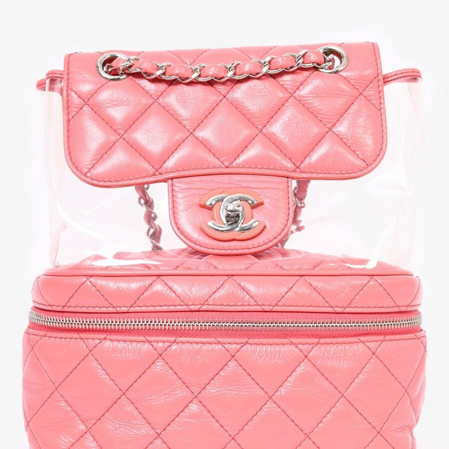 Chanel Pink Calfskin Leather/PVC 'Aquarium' Backpack | Studio Nafay