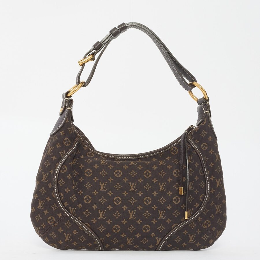 Louis Vuitton Brown Monogram Canvas Mini Lin Shoulder Bag | Studio Nafay