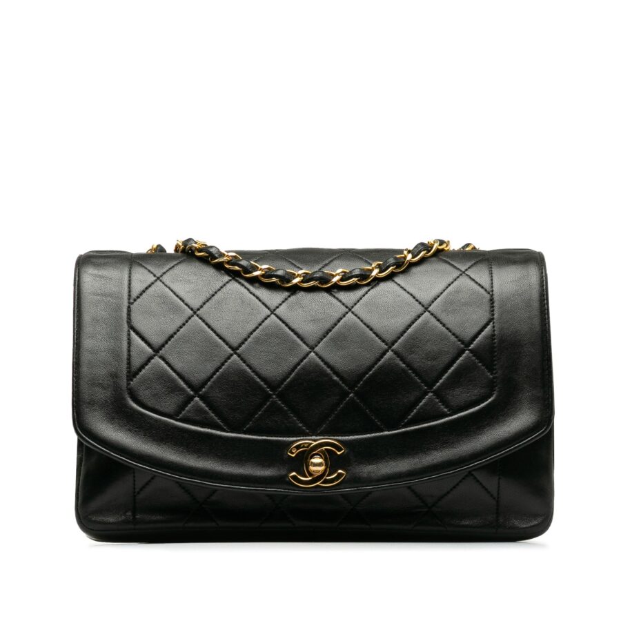 Chanel Medium Lambskin Crossbody Bag Style 4 | Studio Nafay