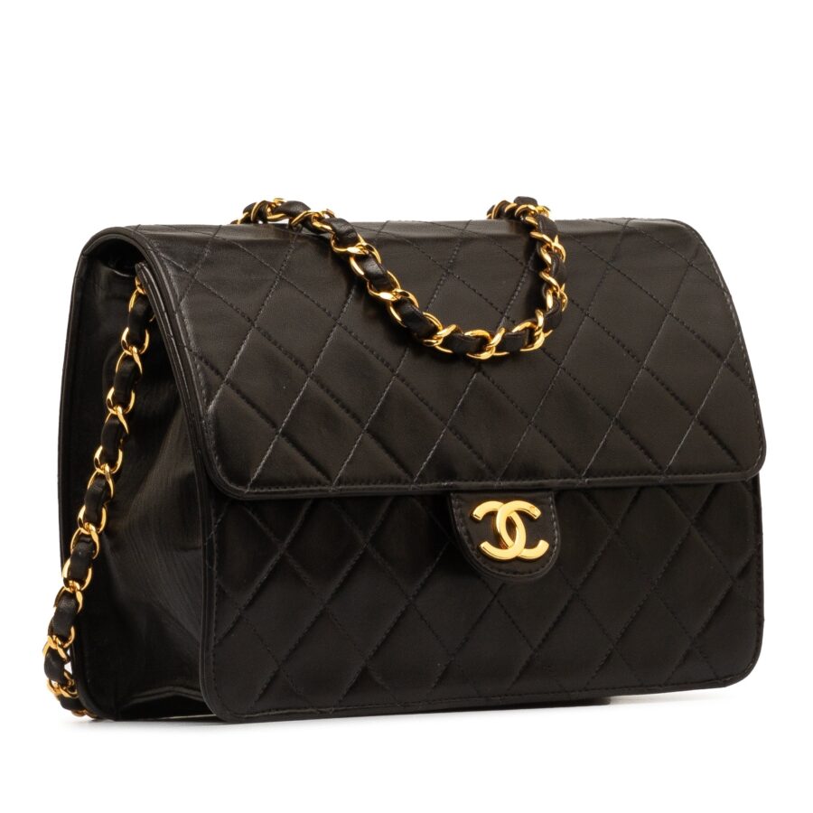 Chanel Leather Shoulder Bag Style 36 | Studio Nafay