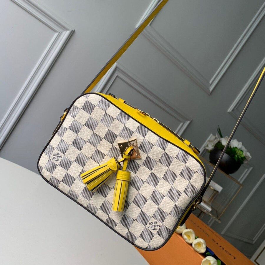 Louis Vuitton Bag | Studio Nafay