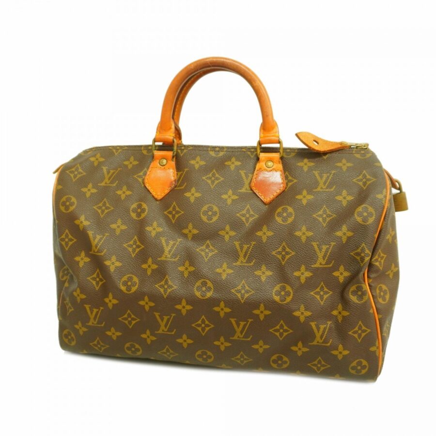 Louis Vuitton Handbag | Studio Nafay