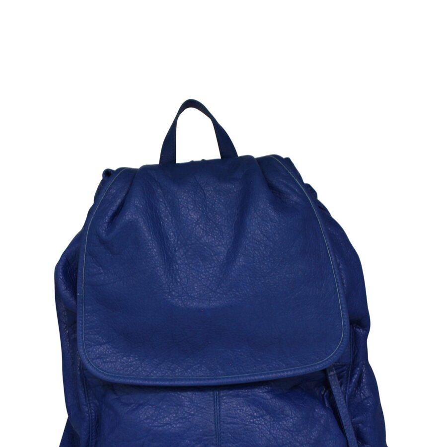 Arena Classic Traveller Backpack Blue | Studio Nafay