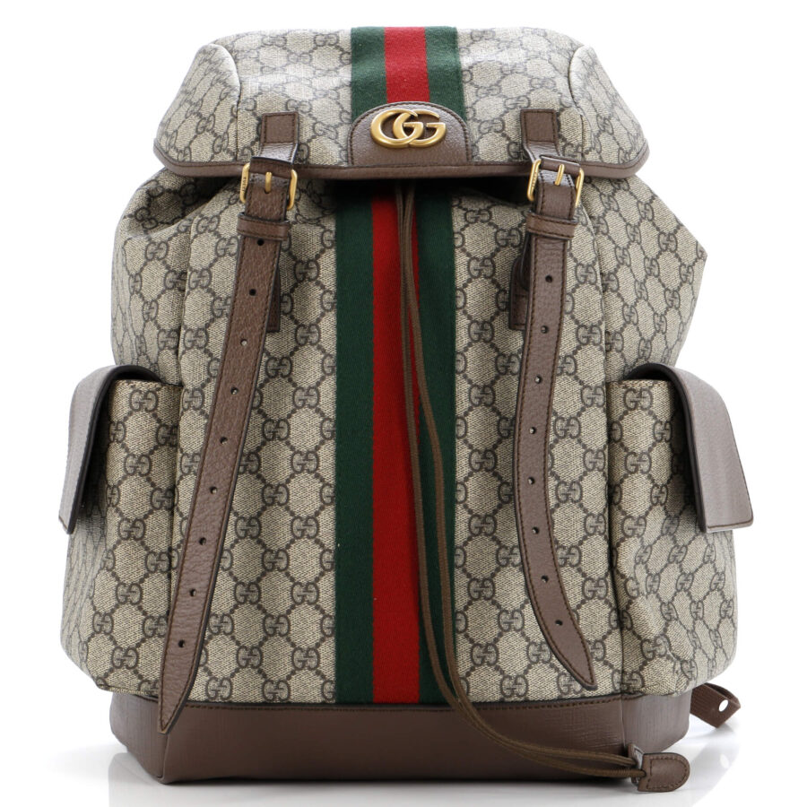 Ophidia Flap Backpack GG Coated Canvas Medium | Studio Nafay