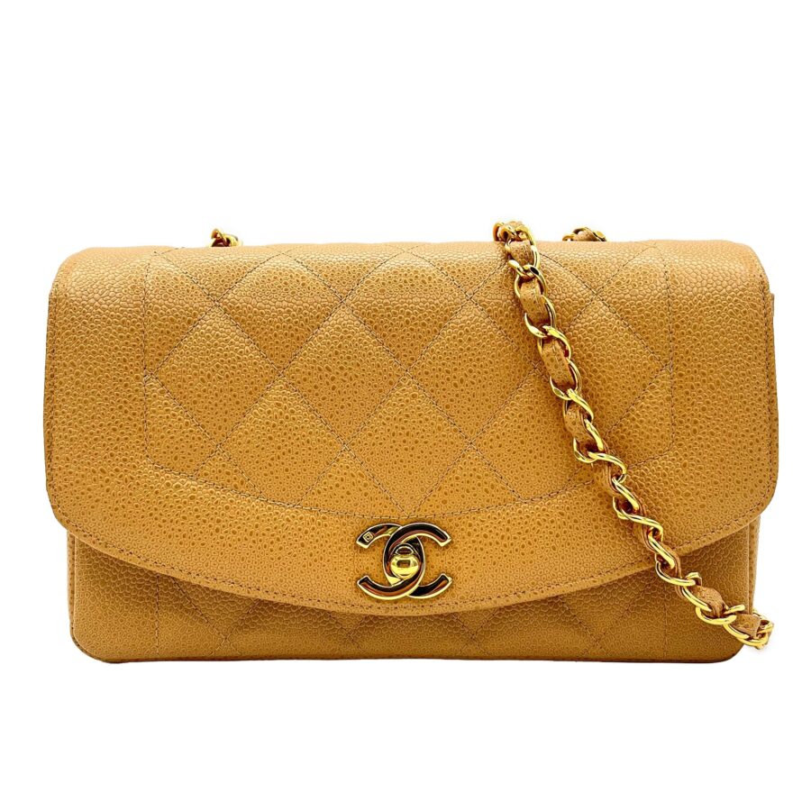 Chanel Small Beige Shoulder Bag | Studio Nafay