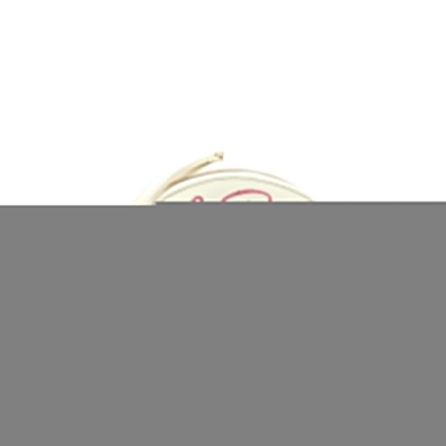 CHANEL Lifesaver Round Crossbody Bag Lambskin Small | Studio Nafay