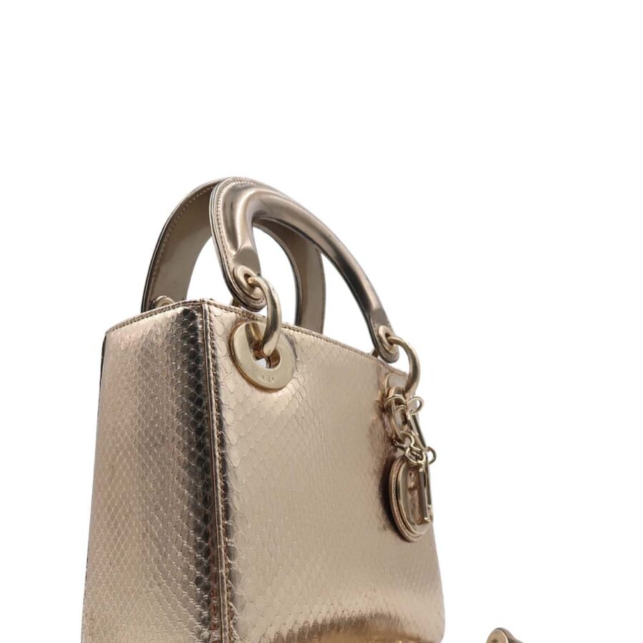 Python Mini Lady Dior Gold | Studio Nafay
