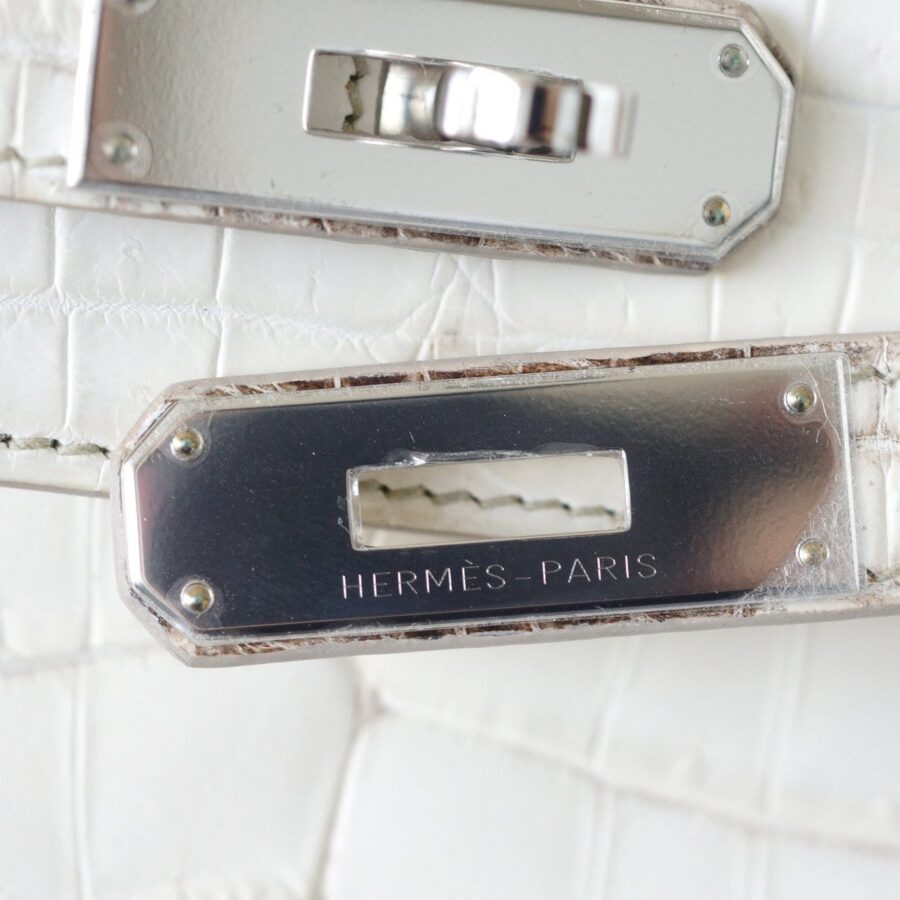 Hermes Birkin 35 Bag Blanc Himalaya Exquisite Skin Limited Edition | Studio Nafay