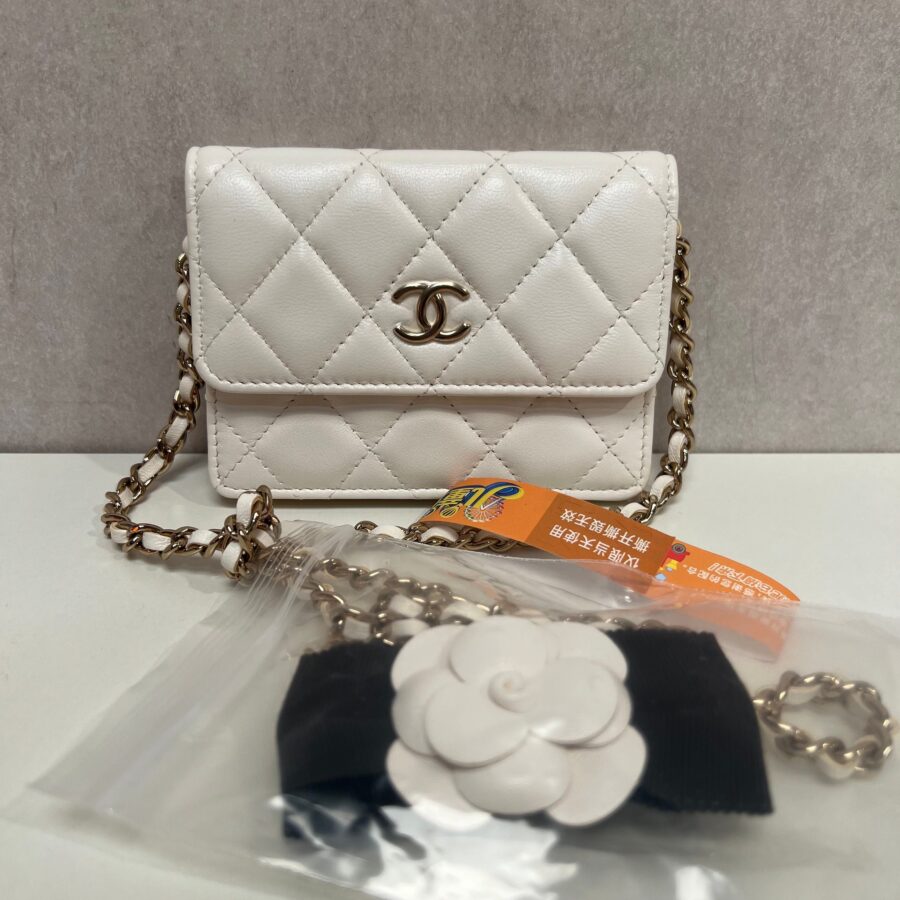 Chanel Clutch on Chain Luxury Designer Handbag | Studio Nafay