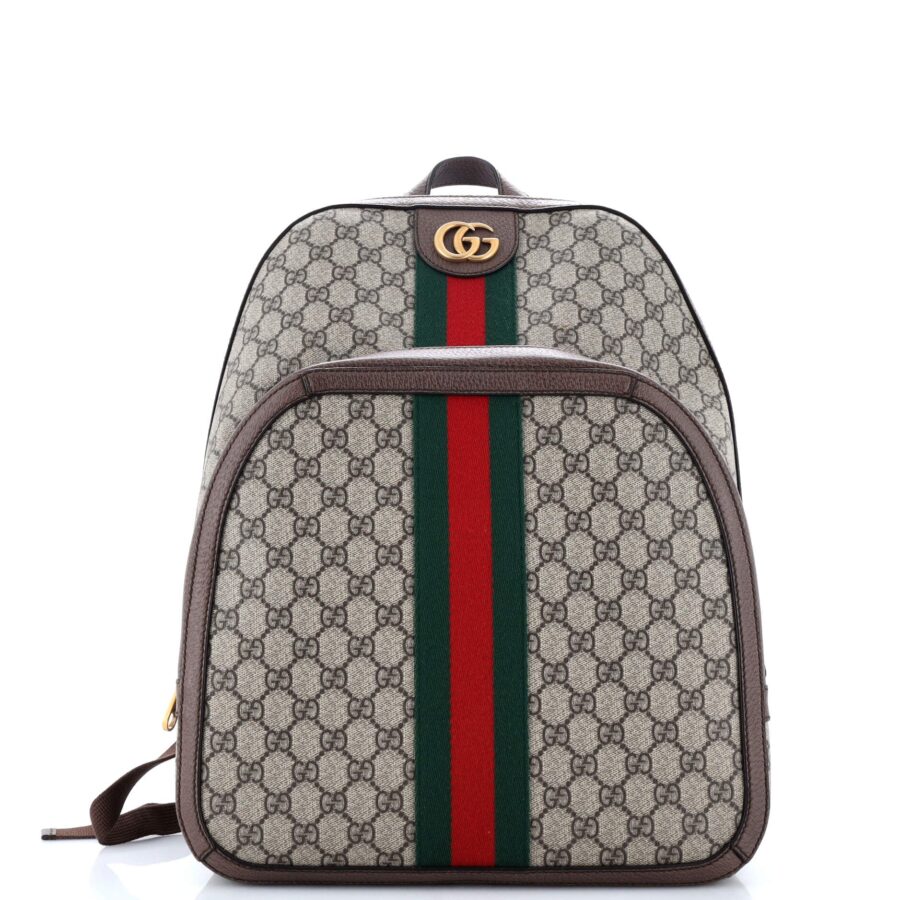 Ophidia Backpack GG Coated Canvas Medium | Studio Nafay