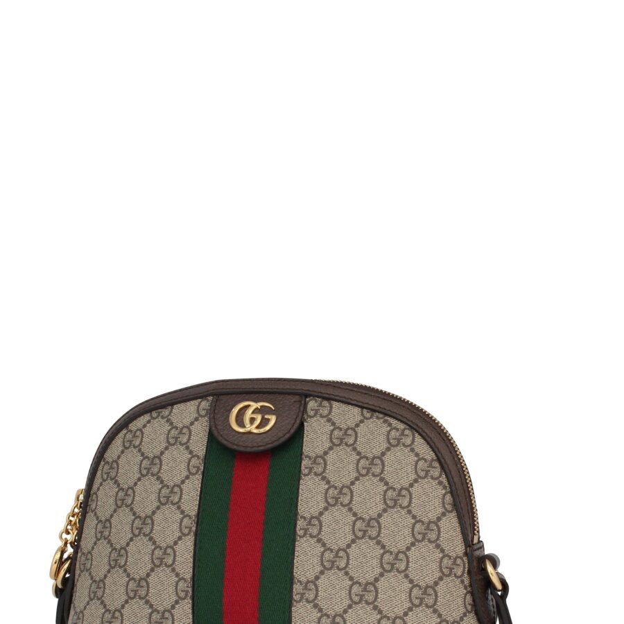 Ophidia GG Small Shoulder Bag Brown | Studio Nafay