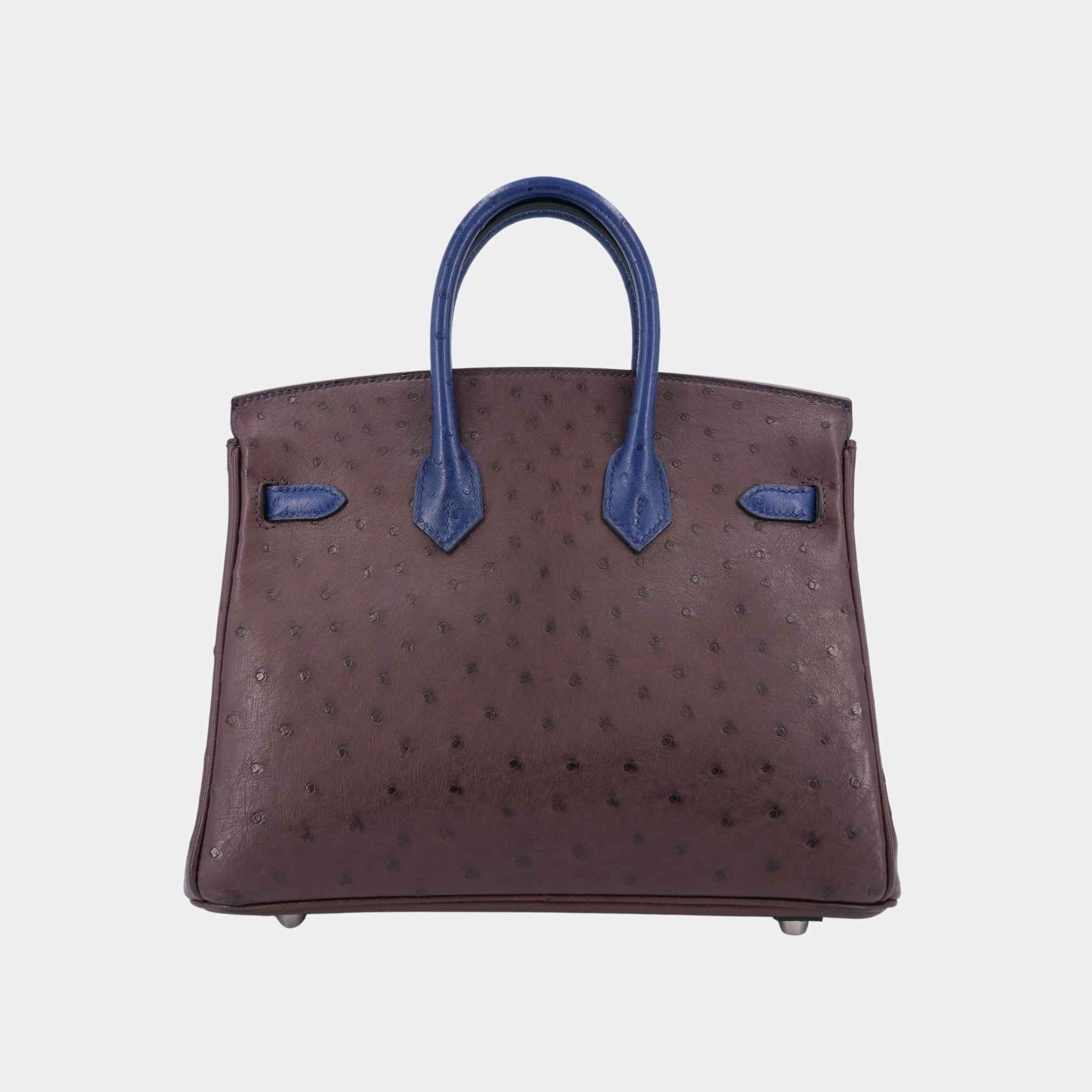 Birkin 25 Ostrich Rouge Sellier/ Bleu Iris PHW