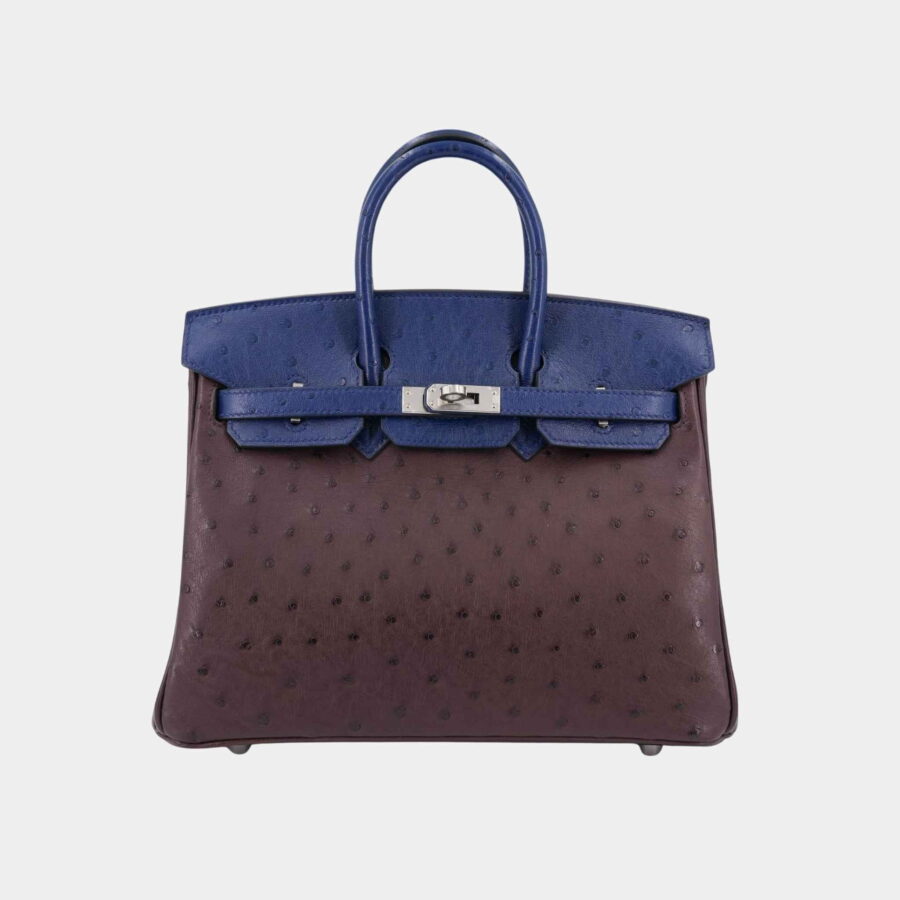 Birkin 25 Ostrich Rouge Sellier/ Bleu Iris PHW | Studio Nafay