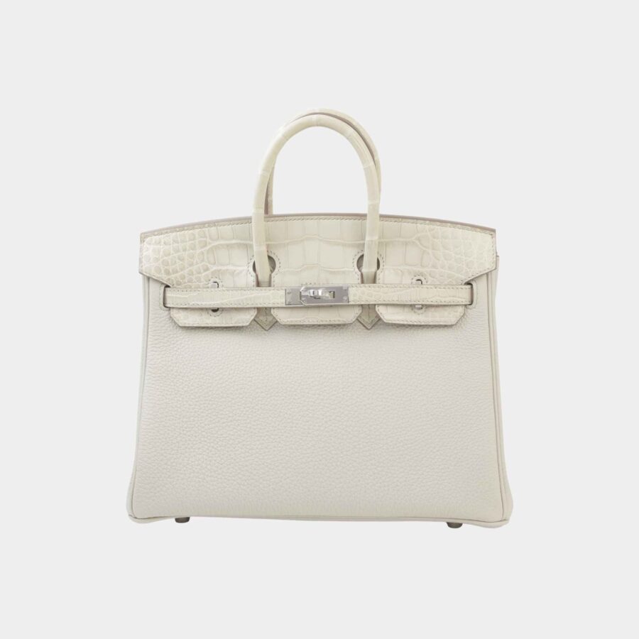 Birkin 25 Touch Togo Matte Alligator Beton PHW | Studio Nafay