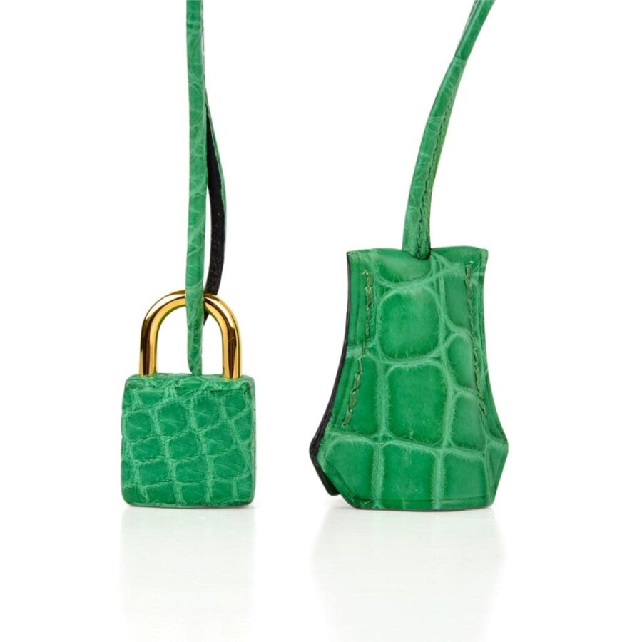Hermes Birkin 35 Bag Matte Alligator Cactus Gold Hardware | Studio Nafay