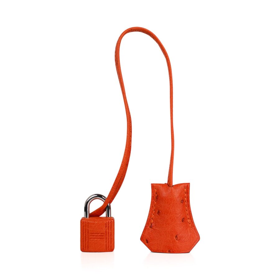 Hermes Birkin 35 Bag Tangerine Ostrich Palladium Hardware Rare | Studio Nafay